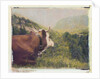Alpine Cow by Jennifer Kennard