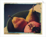 Bowl of Fruit by Jennifer Kennard