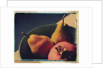 Bowl of Fruit by Jennifer Kennard