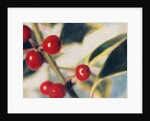 Holly with Berries by Jennifer Kennard
