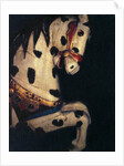 Carousel Horse by Jennifer Kennard