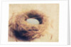 Bird's Nest by Jennifer Kennard