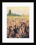 Wild Lupines by Jennifer Kennard