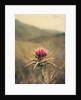 Thistle #2 by Jennifer Kennard