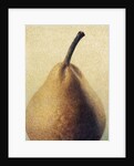 D'Anjou Pear by Jennifer Kennard