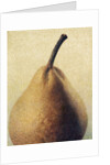D'Anjou Pear by Jennifer Kennard