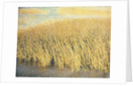 Beach Grass by Jennifer Kennard