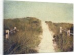 Beach Trail by Jennifer Kennard