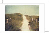 Beach Trail by Jennifer Kennard