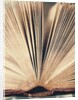 Open Book #8 by Jennifer Kennard
