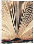 Open Book #8 by Jennifer Kennard