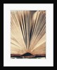 Open Book #8 by Jennifer Kennard