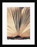 Open Book #8 by Jennifer Kennard