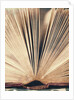 Open Book #8 by Jennifer Kennard