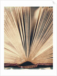Open Book #8 by Jennifer Kennard