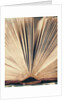 Open Book #8 by Jennifer Kennard