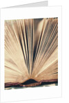 Open Book #8 by Jennifer Kennard