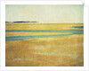 Cape Cod Tidelands #2 by Jennifer Kennard