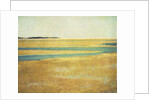 Cape Cod Tidelands #2 by Jennifer Kennard