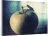 Green Apple by Jennifer Kennard