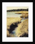 Cape Cod Tidelands by Jennifer Kennard