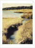 Cape Cod Tidelands by Jennifer Kennard