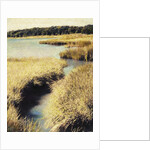 Cape Cod Tidelands by Jennifer Kennard