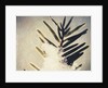 Evergreen Bough in Snow by Jennifer Kennard