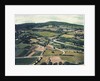 Vineyards by Jennifer Kennard