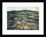 Vineyards by Jennifer Kennard