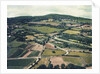Vineyards by Jennifer Kennard