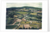 Vineyards by Jennifer Kennard