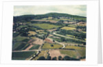 Vineyards by Jennifer Kennard