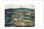 Vineyards by Jennifer Kennard