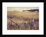 Cape Cod Sandunes by Jennifer Kennard