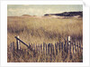 Cape Cod Sandunes by Jennifer Kennard