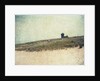 Cape Cod National Seashore by Jennifer Kennard