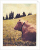 Alpine Cow #2 by Jennifer Kennard
