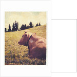 Alpine Cow #2 by Jennifer Kennard