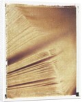 Book Pages by Jennifer Kennard
