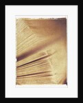 Book Pages by Jennifer Kennard