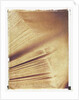 Book Pages by Jennifer Kennard
