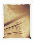 Book Pages by Jennifer Kennard