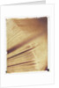 Book Pages by Jennifer Kennard