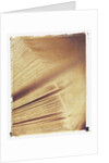 Book Pages by Jennifer Kennard