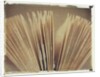Book Pages #2 by Jennifer Kennard