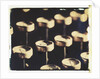 Old Typewriter Keys #2 by Jennifer Kennard