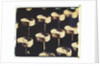 Old Typewriter Keys #2 by Jennifer Kennard