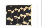 Old Typewriter Keys #2 by Jennifer Kennard