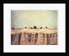 Plaza Blanca by Jennifer Kennard